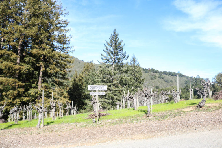 Local Wine Tasting in Saratoga, California Passport to Friday