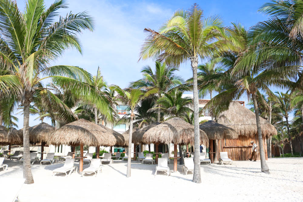 Secrets Akumal Riviera Maya Resort