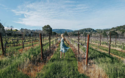 Napa Valley Guide: Where to Stay, Wine & Dine